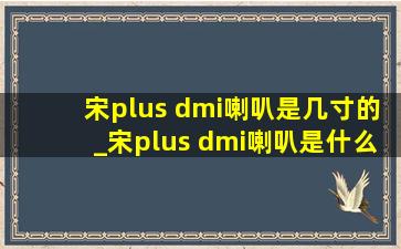 宋plus dmi喇叭是几寸的_宋plus dmi喇叭是什么牌子